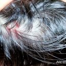 또래친구어린이집 이미지