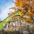 개미산공원 이미지