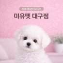 미유펫대구 강아지분양고양이분양(도그플러스동물병원) | 경산강아지분양 믿을 수 있는 미유펫 후기