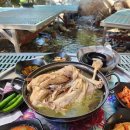 중간식당 | 경남 하동 계곡 백숙 솔직 후기 &#34;신진식당&#34;