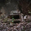 수색대골 이미지