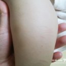 제이에스엘 이미지