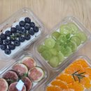 대전봉산초등학교 | 대전 봉산초등학교 사제동행 과일티라미수 원데이클래스 케이크체험 쿠키랜드와 함께한 수업 후기입니다.