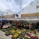 정다운화원