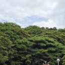 자산공원 입구(구름다리) 이미지