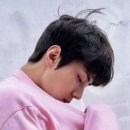 개조아 이미지