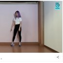 미브이 이미지