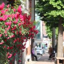 안양6동-1 이미지