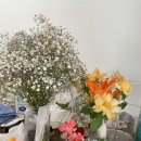 강준영스튜디오 이미지