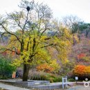 마이산호수펜션 이미지