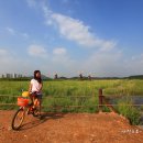 소래습지생태공원 이미지