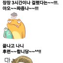 쌍용카마스타 이미지