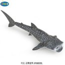 988 이미지