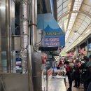 우현로 | 인천 신포국제시장 먹거리 평일 웨이팅 후기(신포참숯김, 신포닭강정, 타르트야)