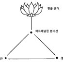 차크라-천골 센터 이미지