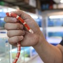 베스트피쉬 수족관 이미지