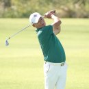 정환 카카오 검색결과