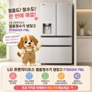 716 | LG 프렌치디오스 얼음정수기 냉장고 F756SI14 716L 후기! 얼음부터 정수까지 한 번에 해결