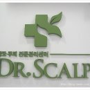 닥터스칼프목동점 | [탈모 / 두피 ] 닥터스칼프/ 목동점 체험후기~