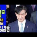 💙💙💙 조국현아, 너 왜 그러고 사니? 정치혈액형 A 형 편집증? ㅋ #유시민 #정청래 #김어준 #뉴이재명 이미지