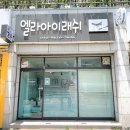 엘라아이래쉬