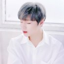 우유메리미 Daum카페