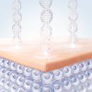 황금피부과의원 이미지