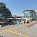 스페셜 몰 | 가락시장 노량진 형제상회 가락몰지점 스폐셜 모둠회 후기 (가격, 구성, 솔직리뷰)