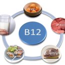 [혈관영양클리닉] 빈혈 예방을 위한 비타민 B12 (위암 수술후) 이미지