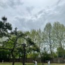 거룡10길 13-10, (용산동) | 나혼자산다 전현무 용산 가족 공원 피크닉/서울 야외 셀프 브라이덜샤워 준비물