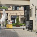 에이블짐 위례점 | 실력 있는 위례미용실을 찾고 있다면 준오헤어위례송파와이즈더샵점