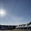 경기도 포천 애견카페 재방문 후기 (뽀야네 딩가댕가)