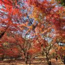 속리산공인중개사사무소 이미지