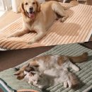 (주)헵스 이미지