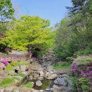 비슬산휴양림관리사무소 이미지