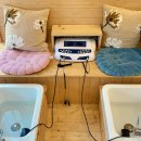 힐링까페 | 대구 족욕카페 추천｜서문시장 족욕카페 쉼 힐링카페 후기