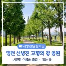 신녕천 네이버블로그
