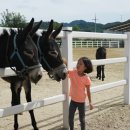 동키캐슬 캠핑장 이미지