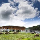 성찬목장 이미지