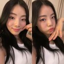 Stay maca 이미지