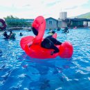 양지생태마을캠핑장 | 거창 양지 생태마을 캠핑장