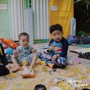 오마이랜드부산 이미지