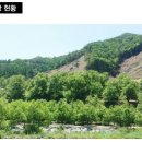 홍천슈퍼 Daum카페