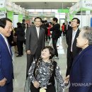 한국피자헛대전 이미지