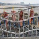 잠뱅이수산 이미지