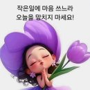 연신유도체육관 이미지