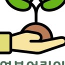 창원 자연숲 어린이집 | 자연 속에서 자란다는 건? 창원시어린이집 중 자연봄의 특별한 배움 이야기