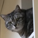 유성나무공인중개사사무소 이미지