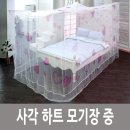 3717 이미지