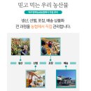 [ 경북농협 ] 데일리 사과(안동) 3kg 10-14과 후기